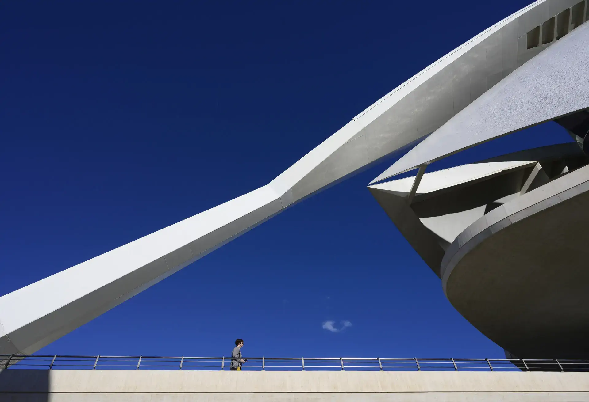 Palau de les Arts Reina Sofia in Valencia ziet er echt futuristisch uit