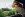 preload