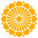 Myanmar National Airlines